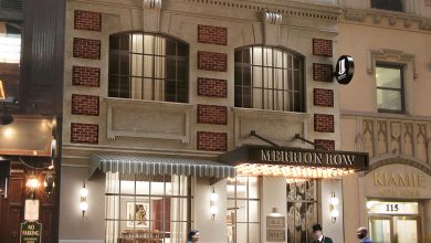Merrion Row Hotel & Public House