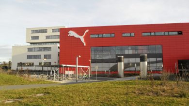 puma brand